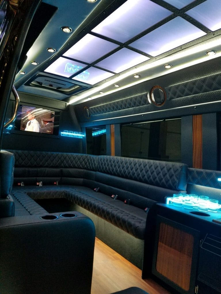 Mercedes clearance limo van